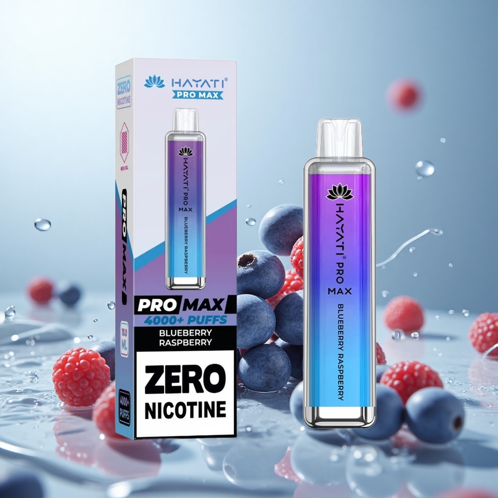 Hayati Pro Max 4000 Blaubeere Himbeere Dual Mesh 2ml