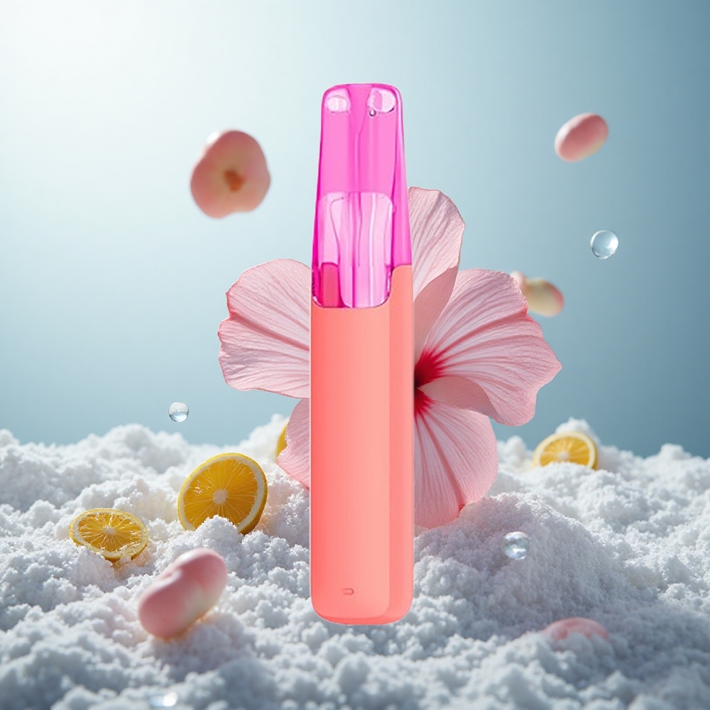 Snowplus Dash 4000 Hibiskus-Eistee Keramik-530