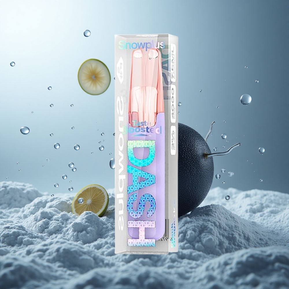 Snowplus Dash 4000 Schwarzer Drache Eis Keramik 530 mAh